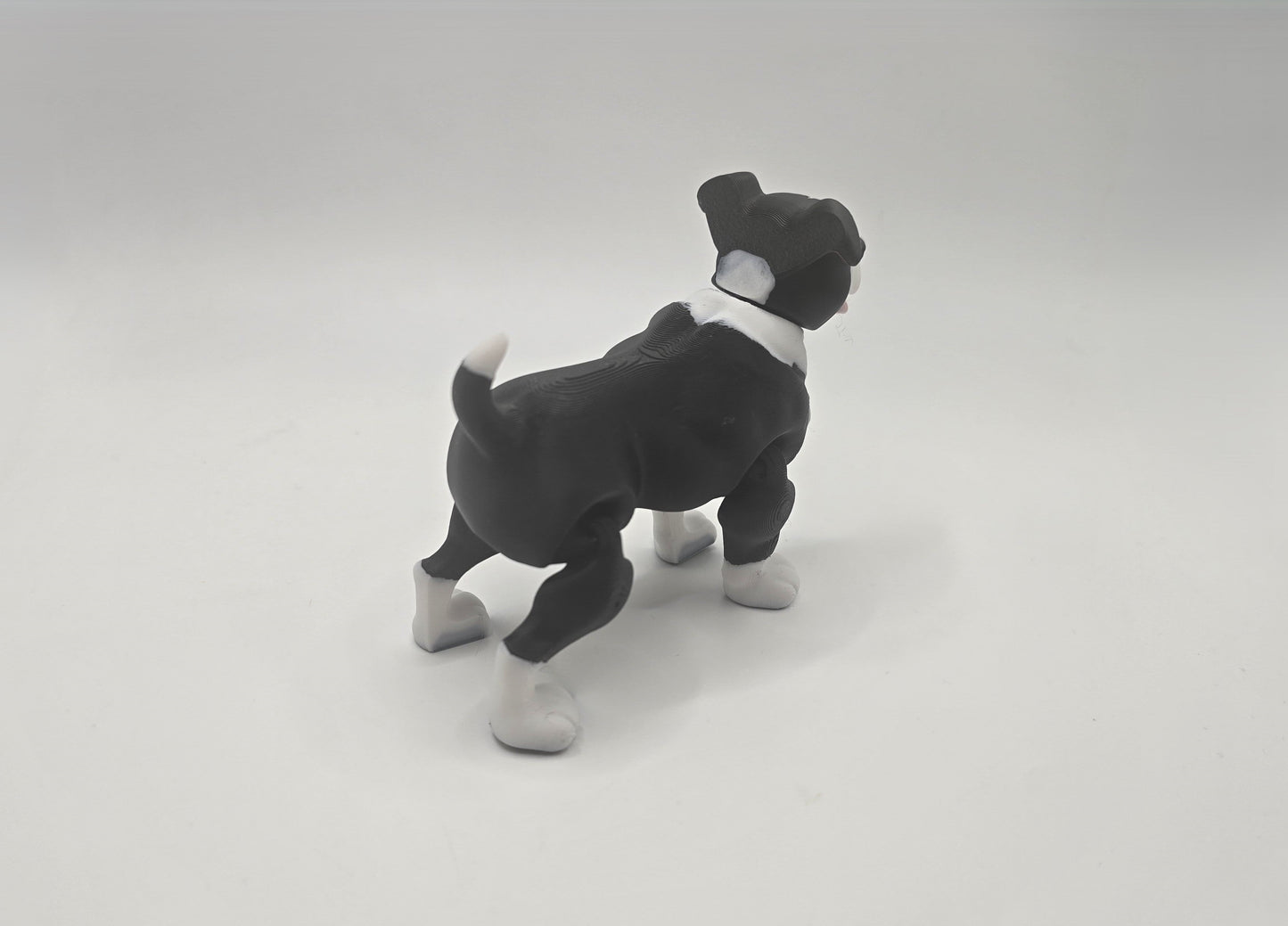 Staffy - No Hands 3d