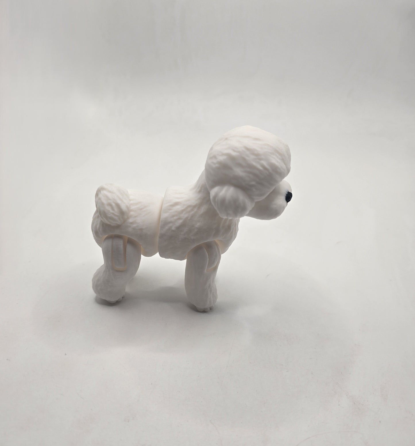 Toy Poodle - No Hands 3d
