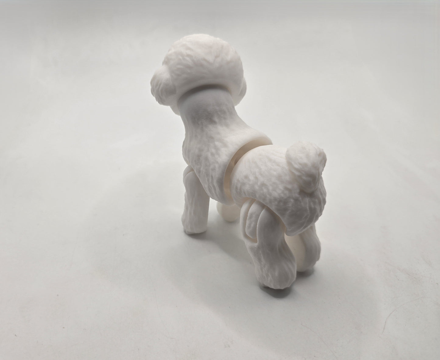 Toy Poodle - No Hands 3d