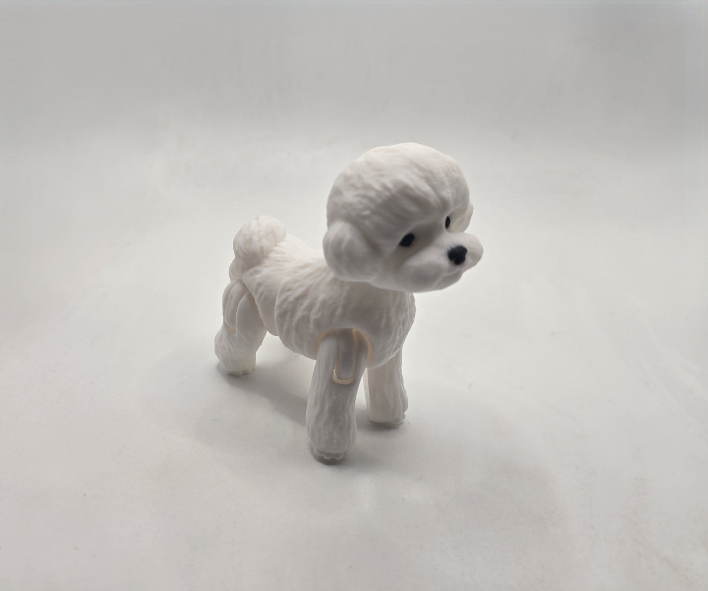 Toy Poodle - No Hands 3d