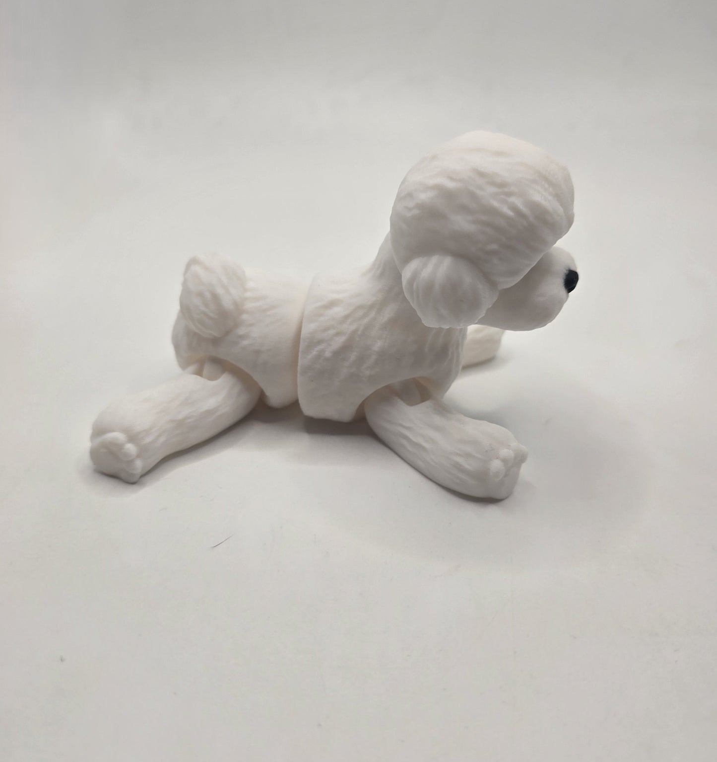 Toy Poodle - No Hands 3d