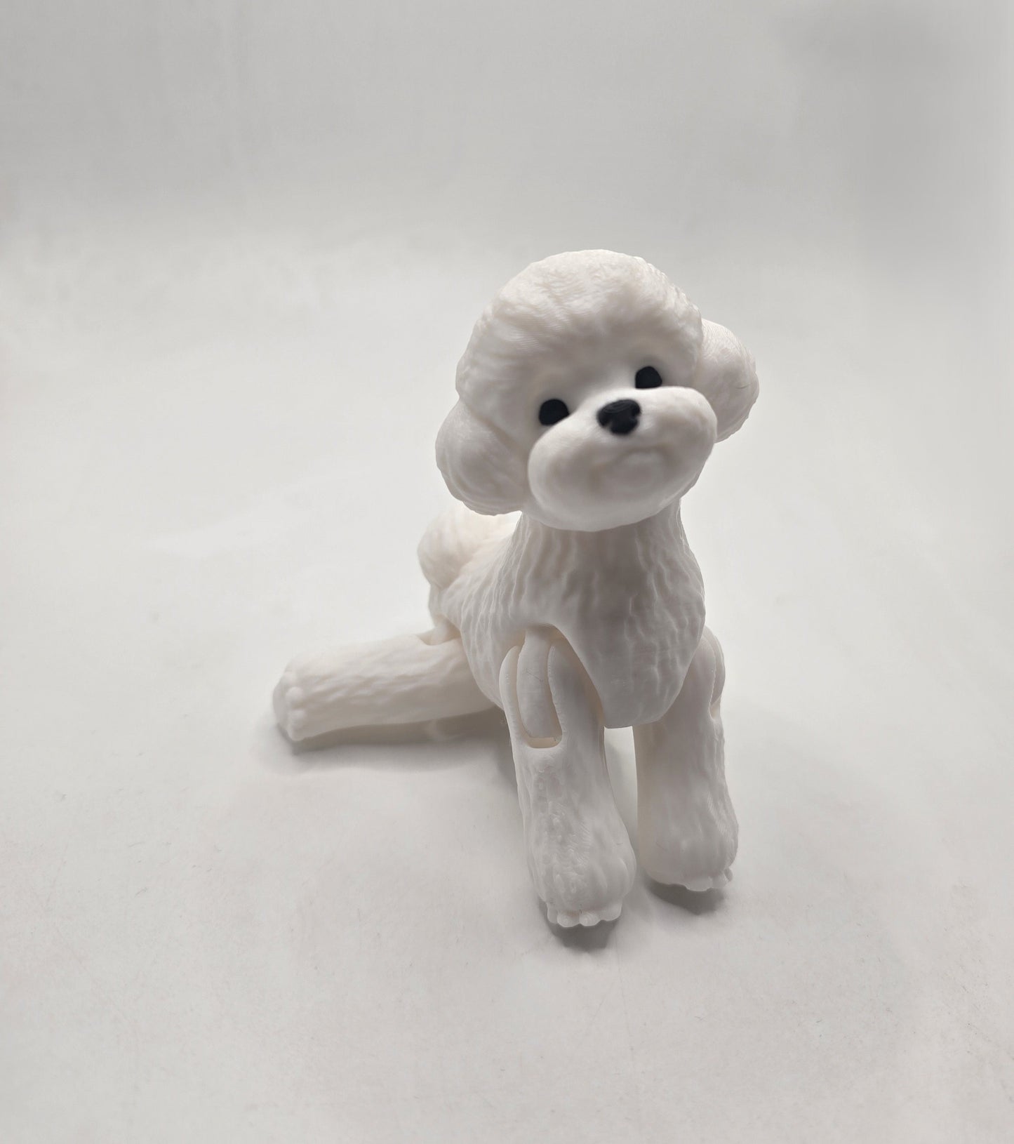 Toy Poodle - No Hands 3d