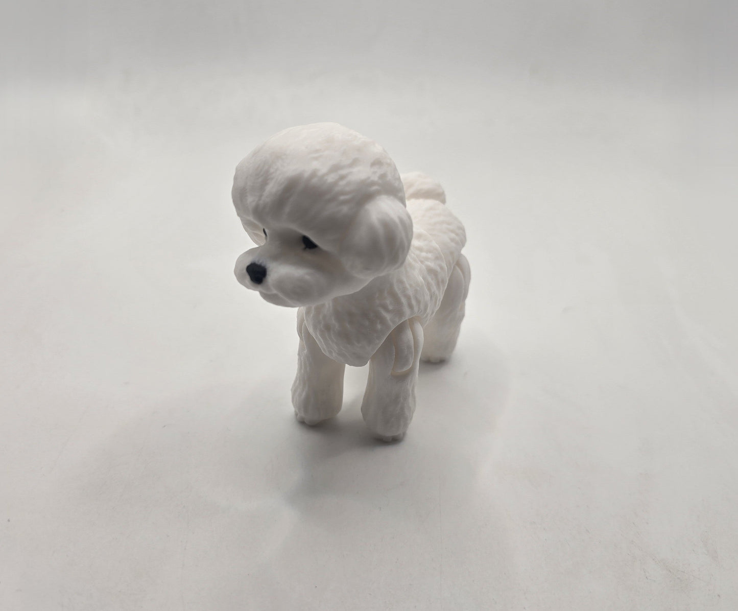 Toy Poodle - No Hands 3d
