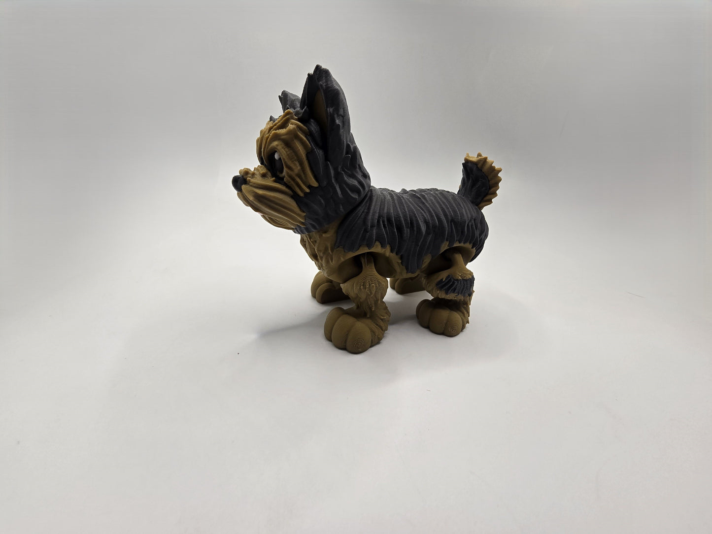 Yorkshire Terrier - No Hands 3d
