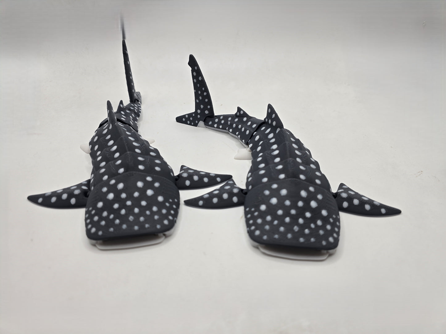 Whale Shark