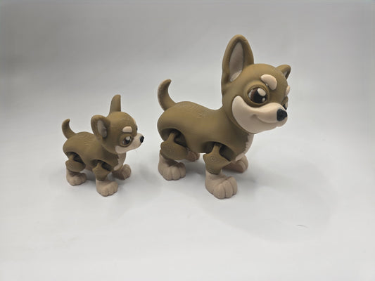Chihuahua