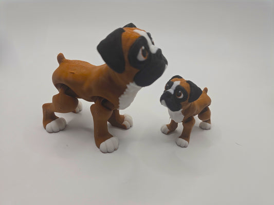 Boxer