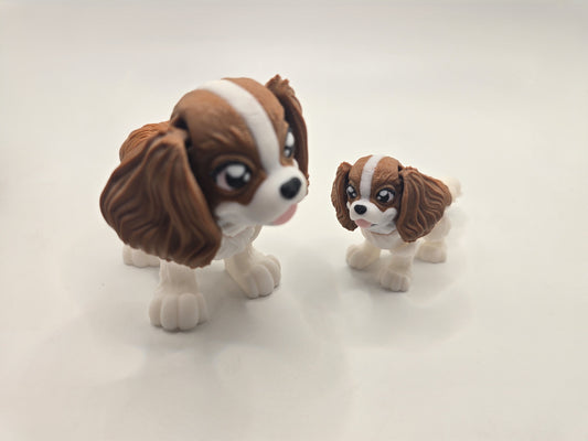 Cavalier King Charles Spaniel