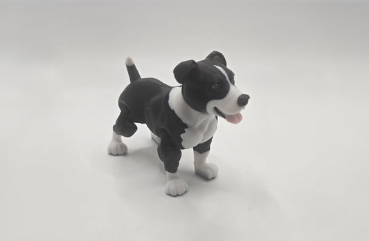 American Staffy