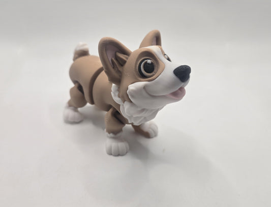 Corgi's