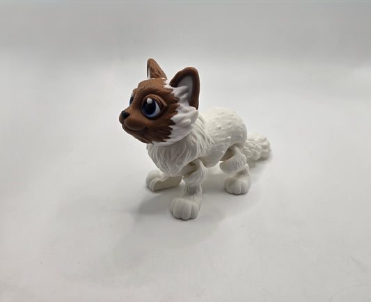 Ragdoll
