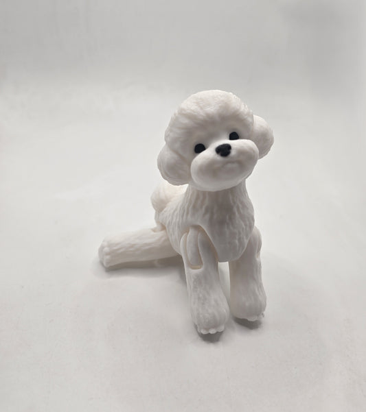 Toy Poodle