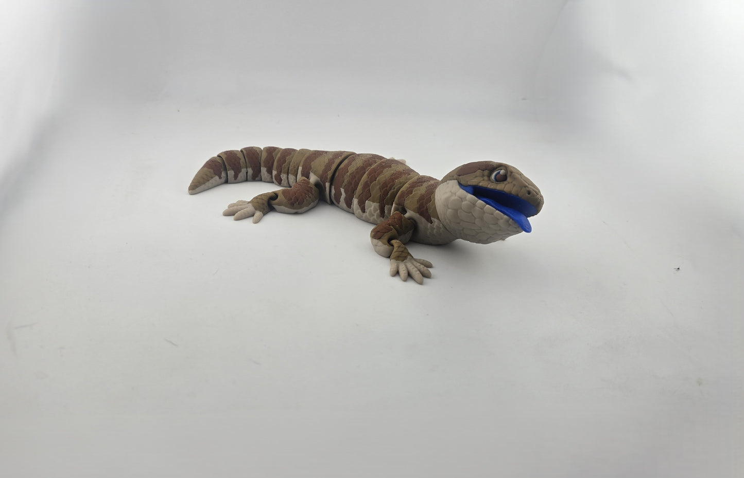 Blue Tongue Lizard