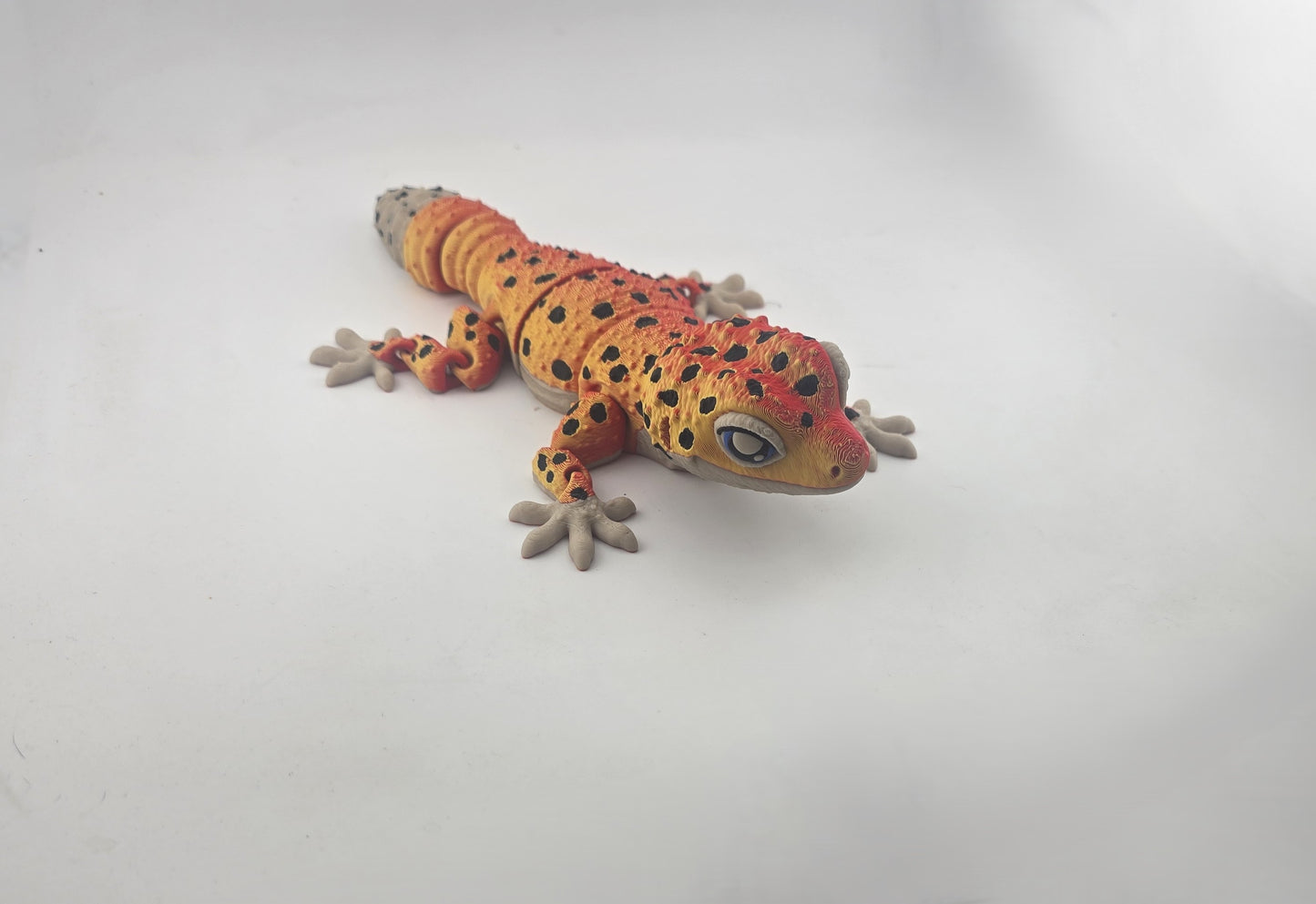 Leopard Gecko