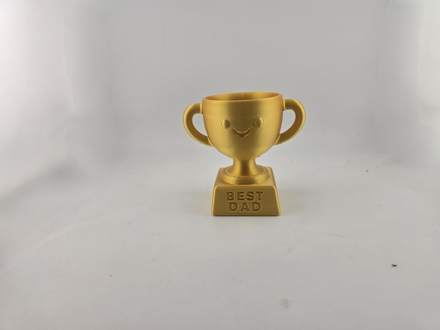 Fathers Day Trophys