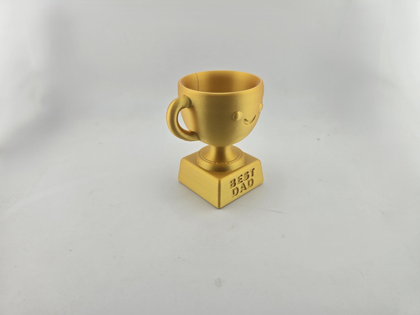 Fathers Day Trophys