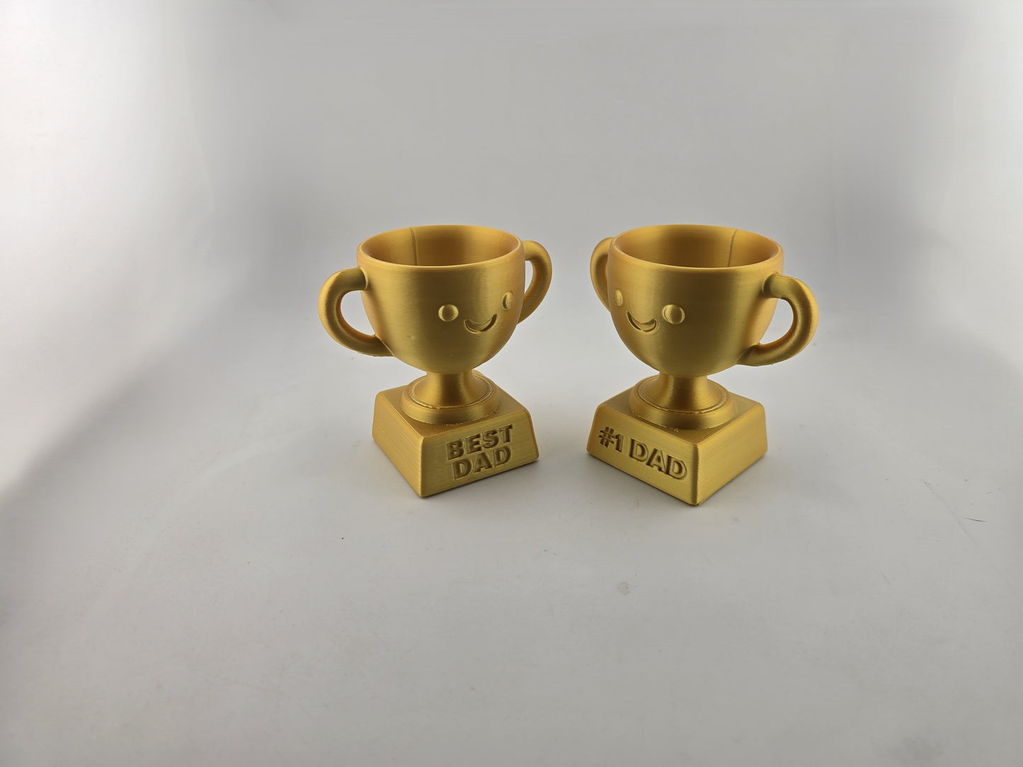 Fathers Day Trophys