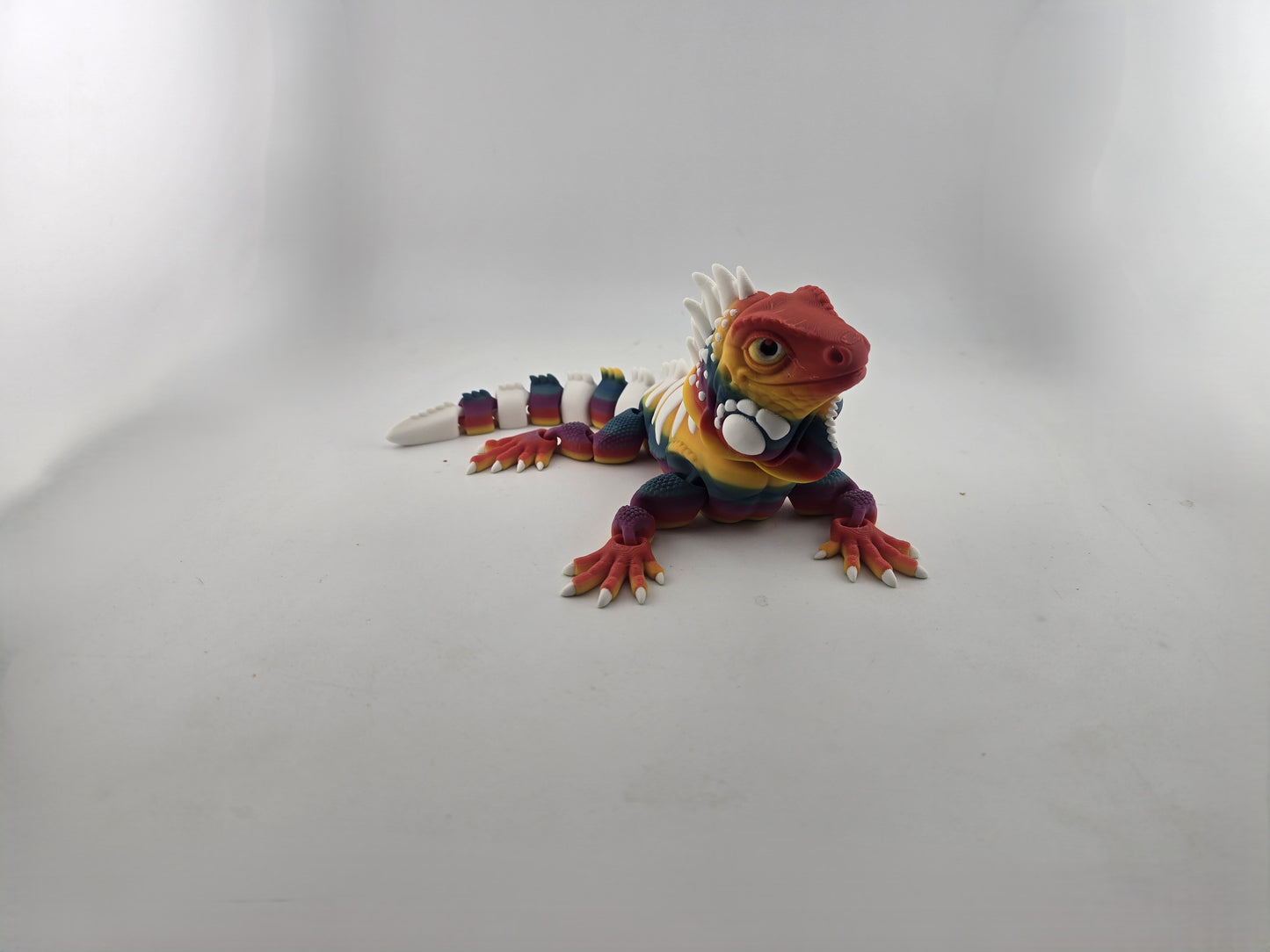 Iguana