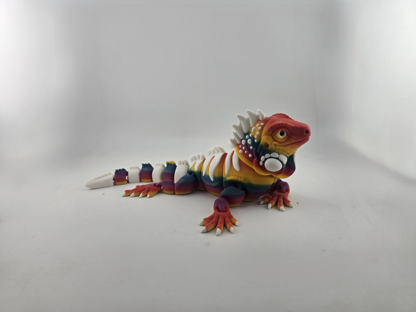 Iguana