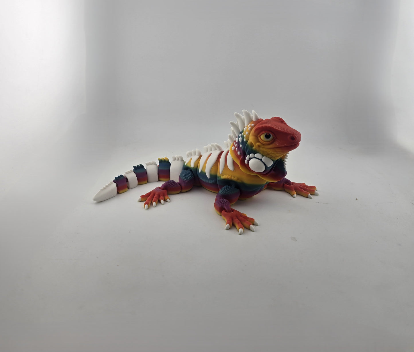 Iguana