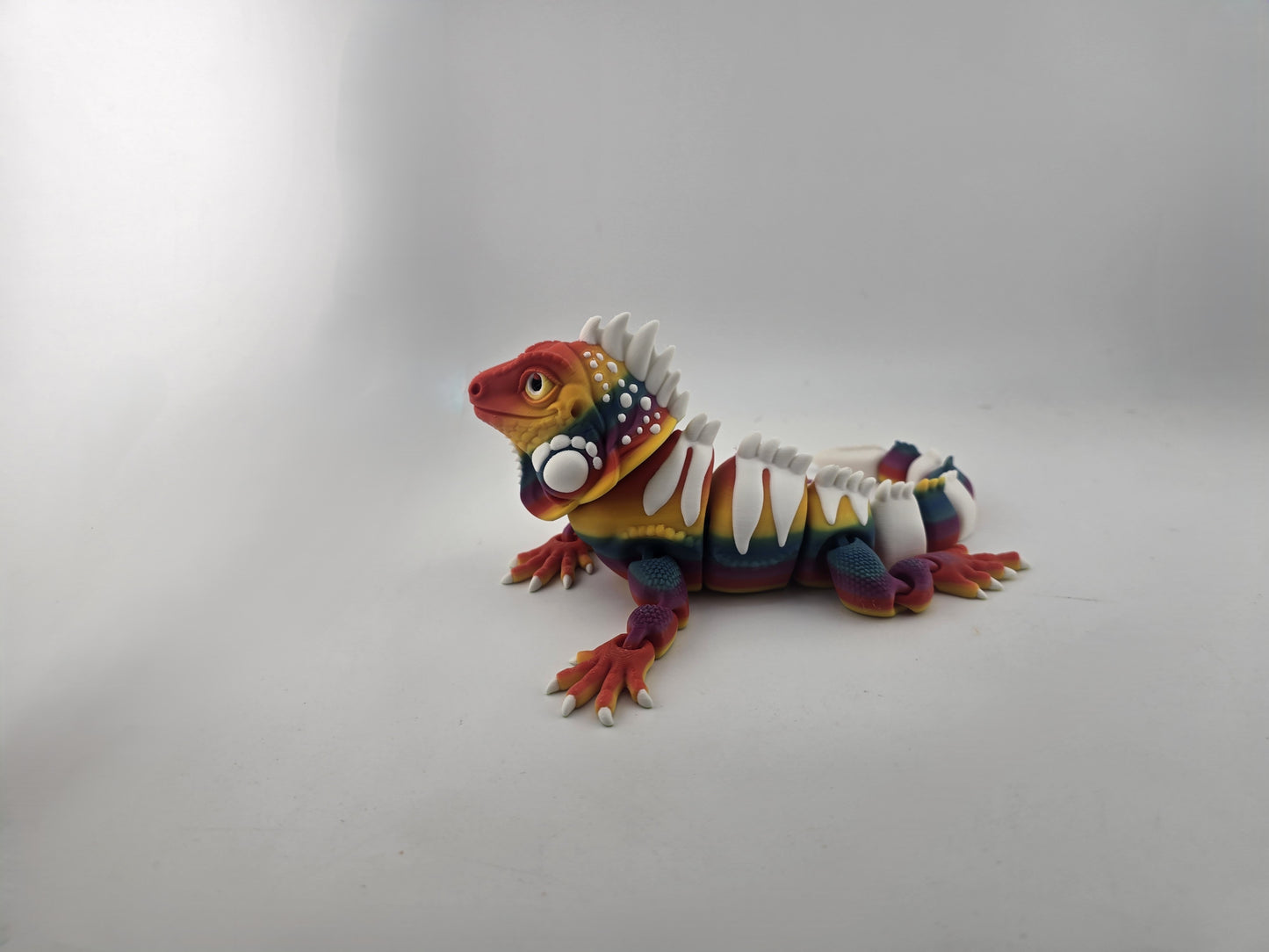 Iguana