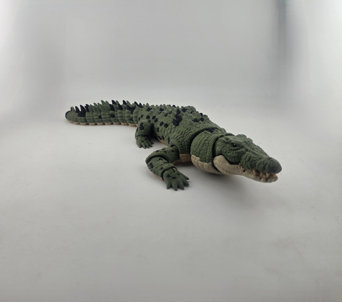 Crocodile