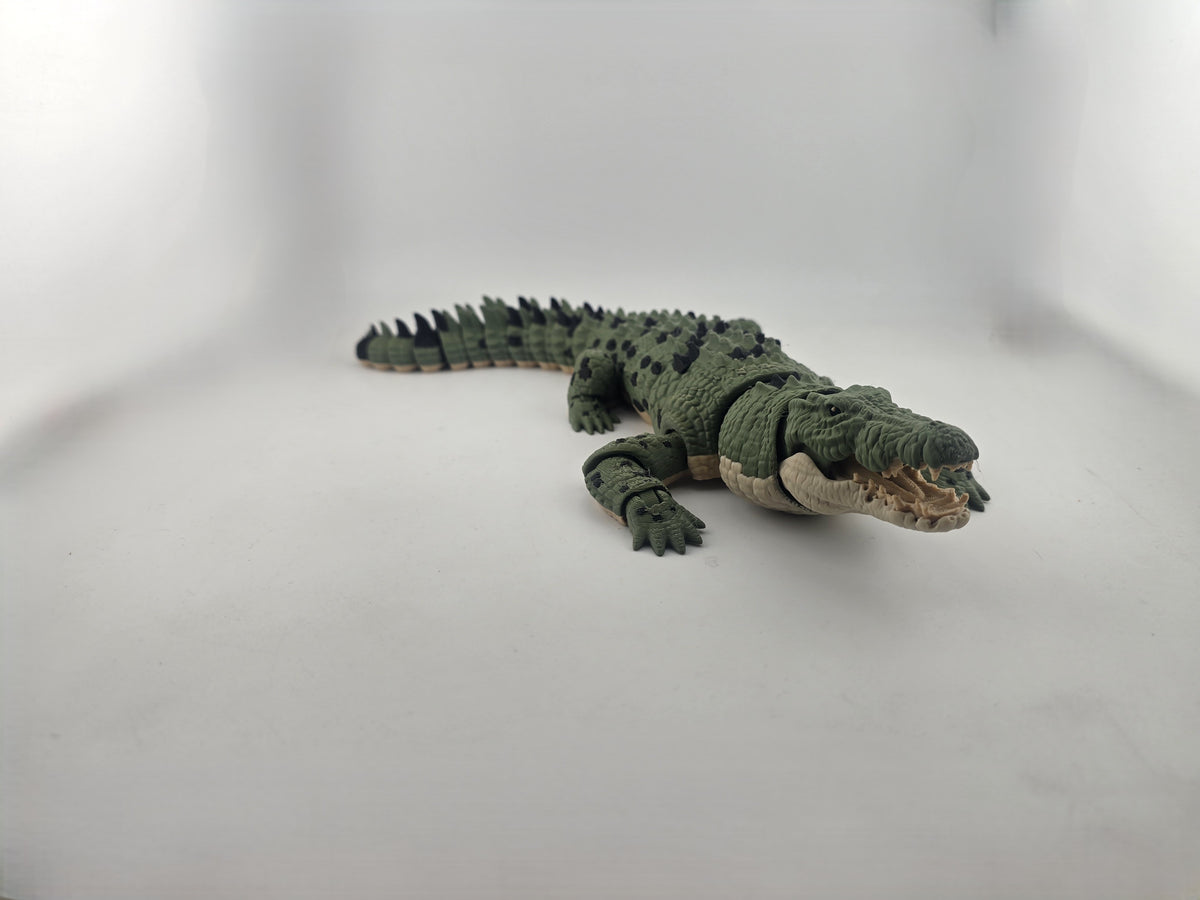 Crocodile