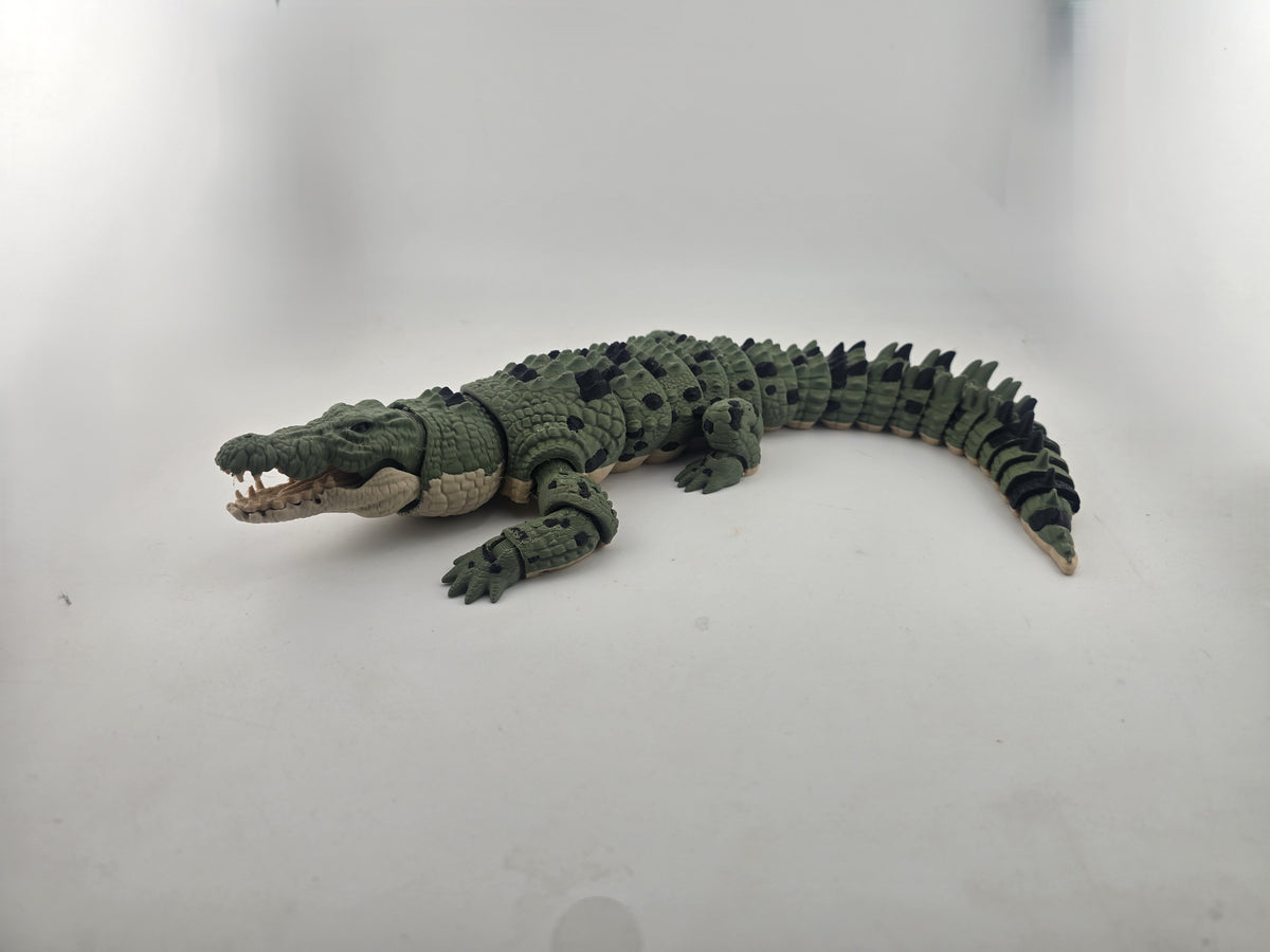 Crocodile