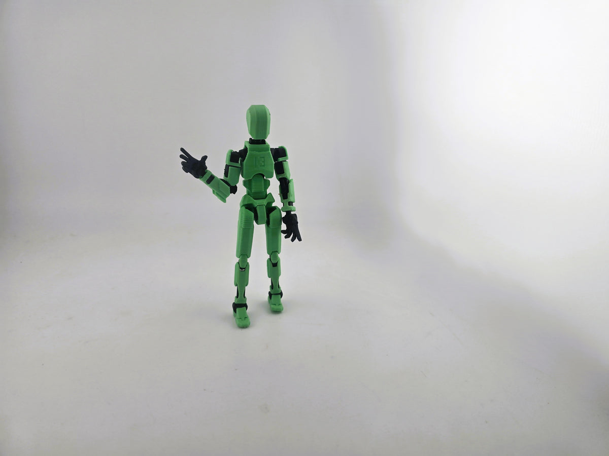 Dummy 13