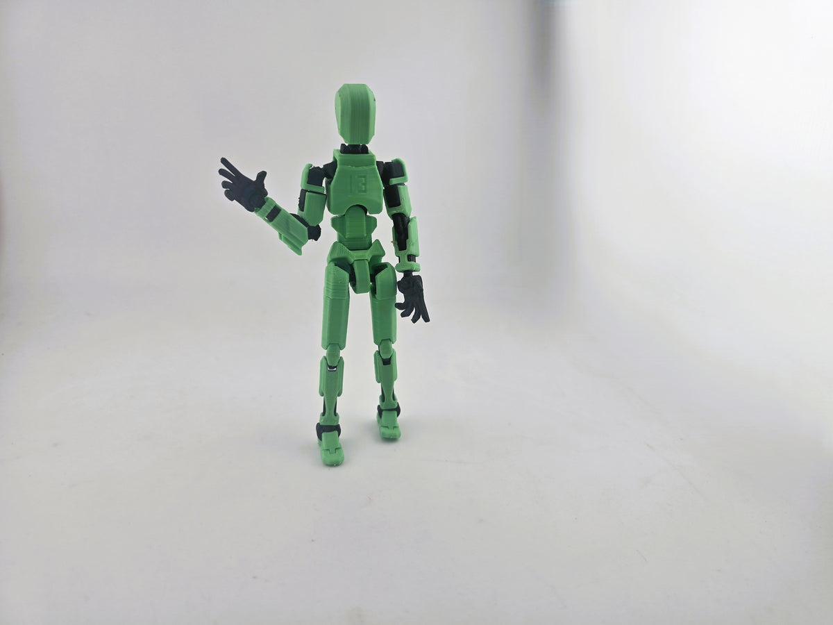 Dummy 13