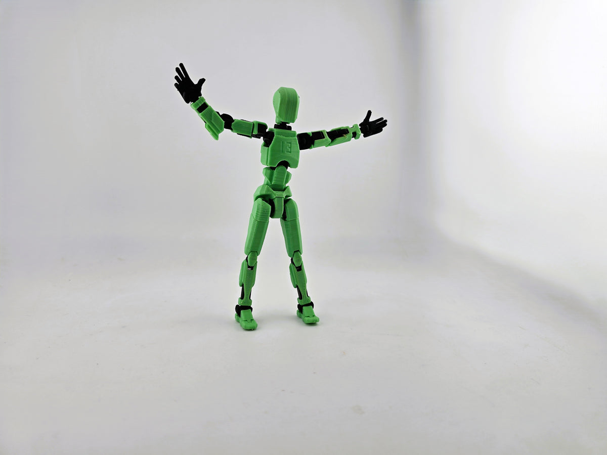 Dummy 13