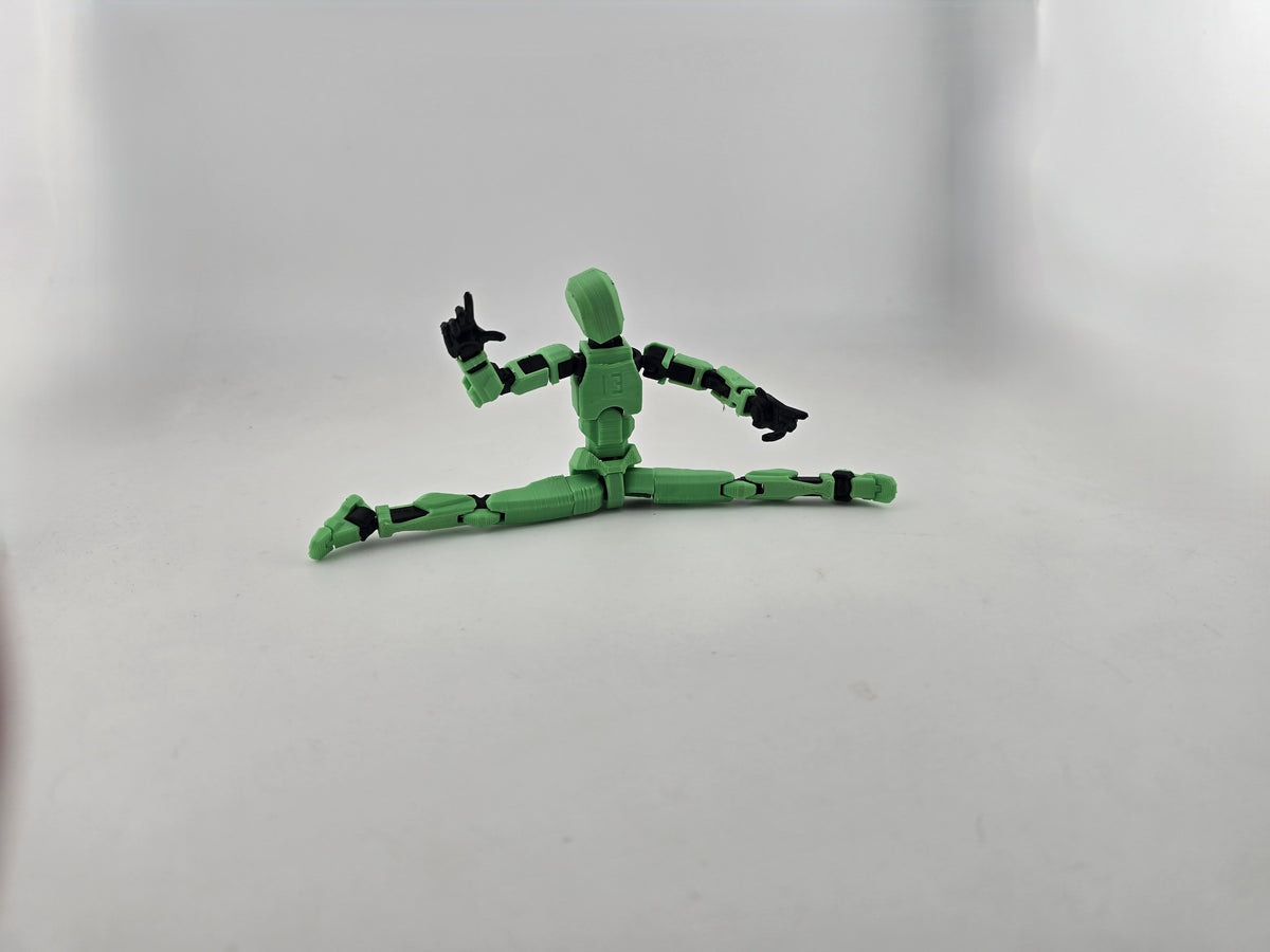 Dummy 13