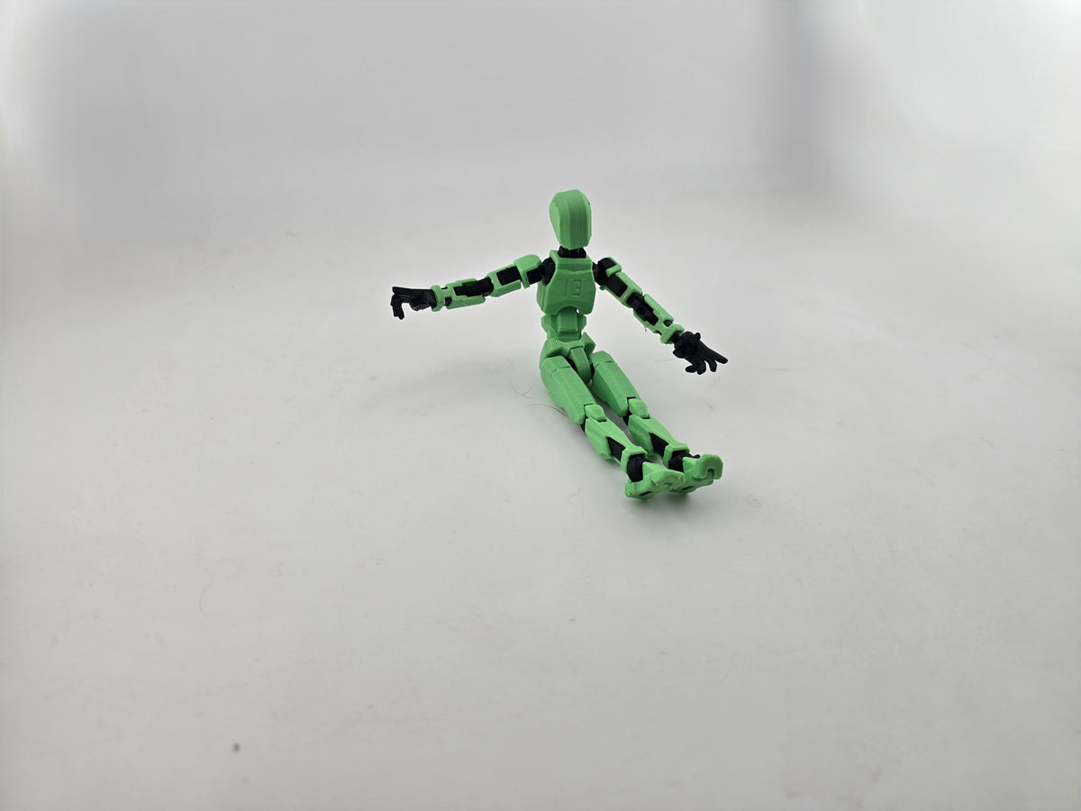 Dummy 13