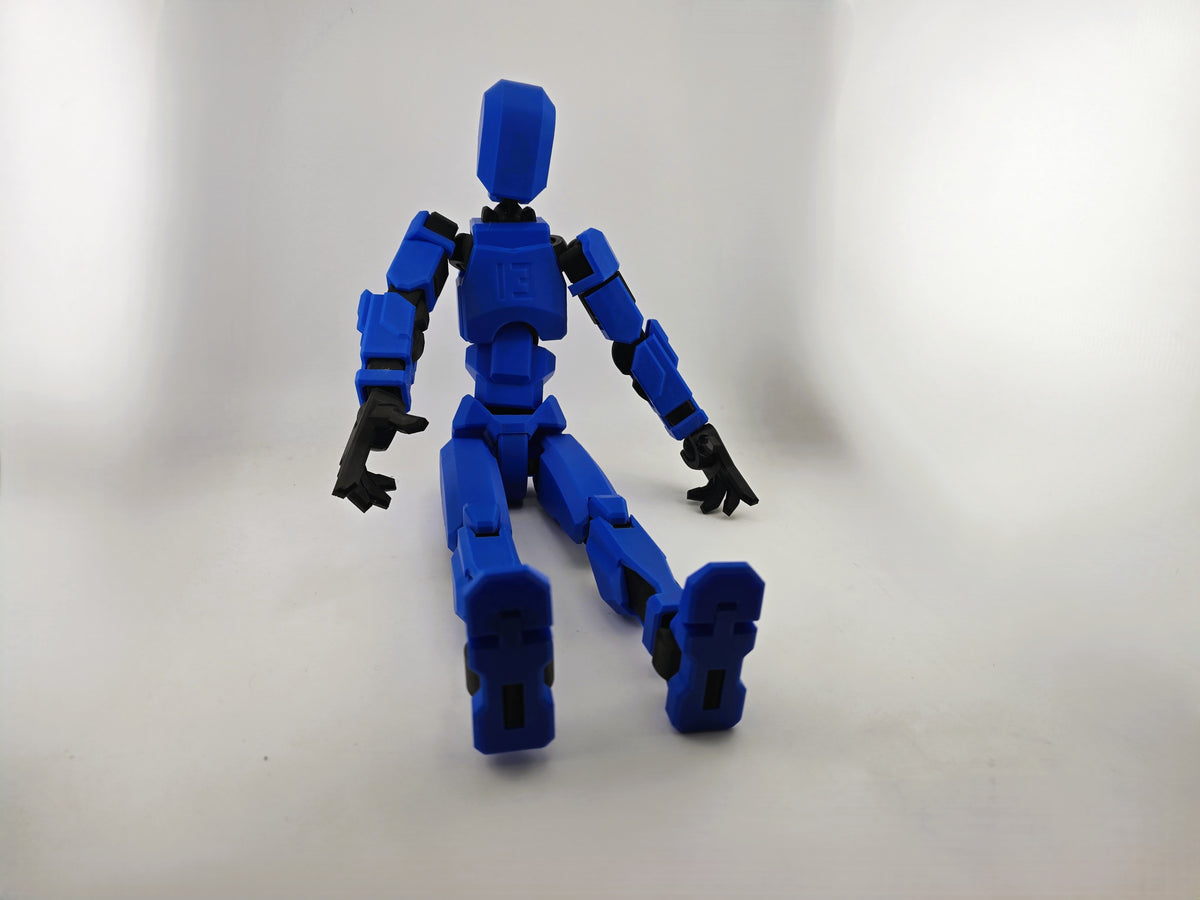 Dummy 13