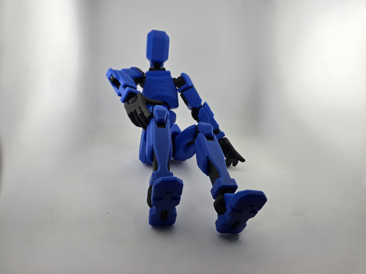 Dummy 13