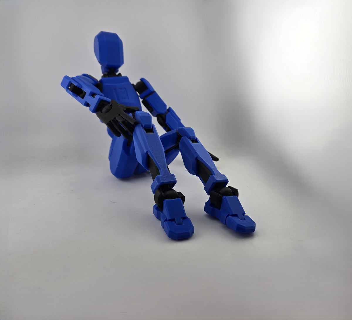 Dummy 13
