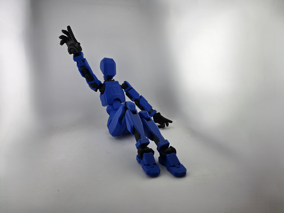 Dummy 13