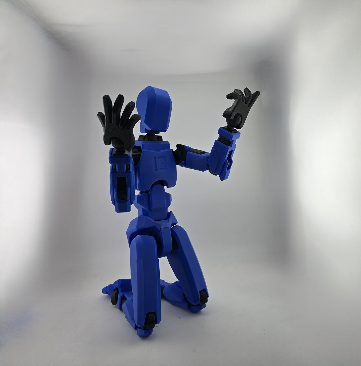 Dummy 13
