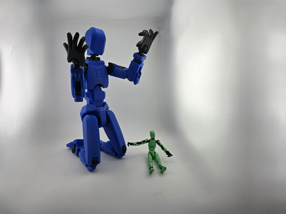 Dummy 13