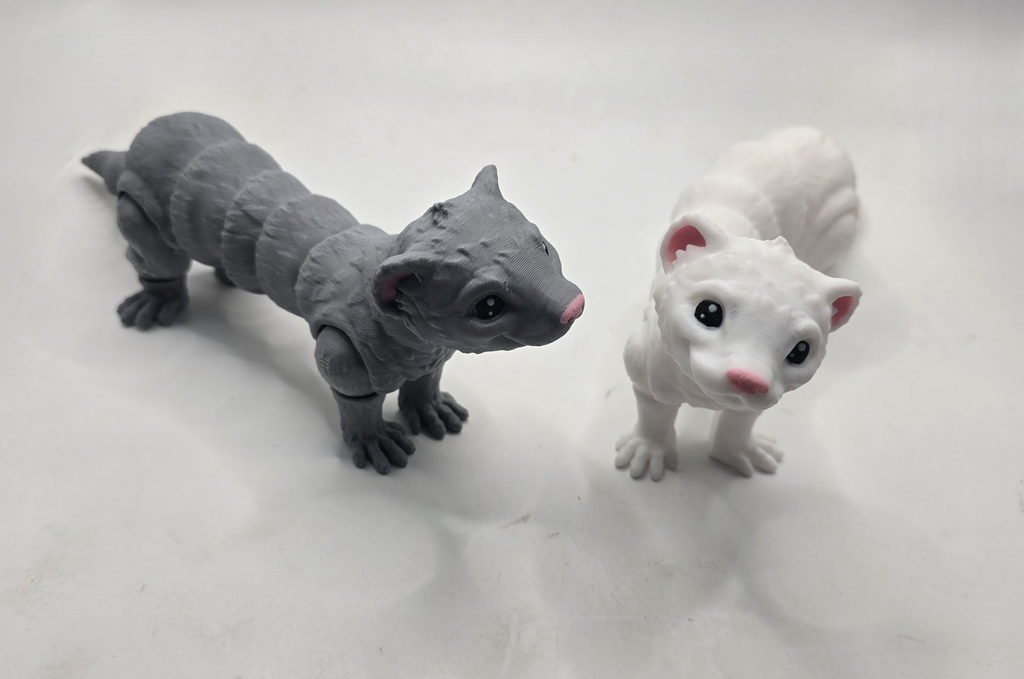 Ferrets