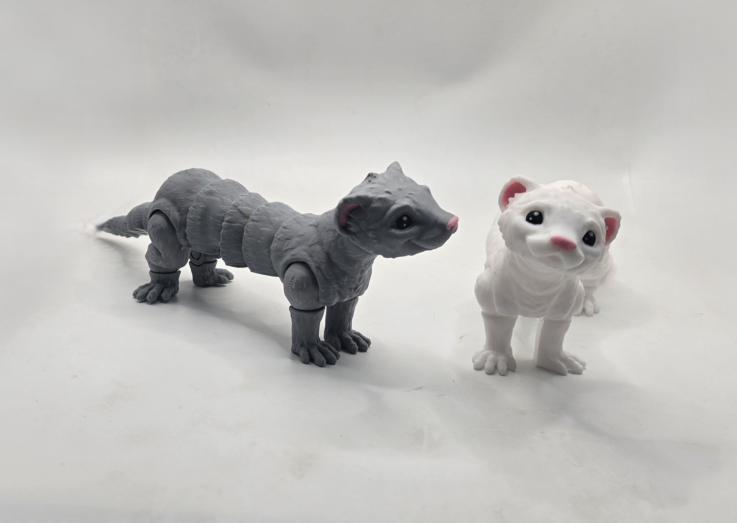 Ferrets