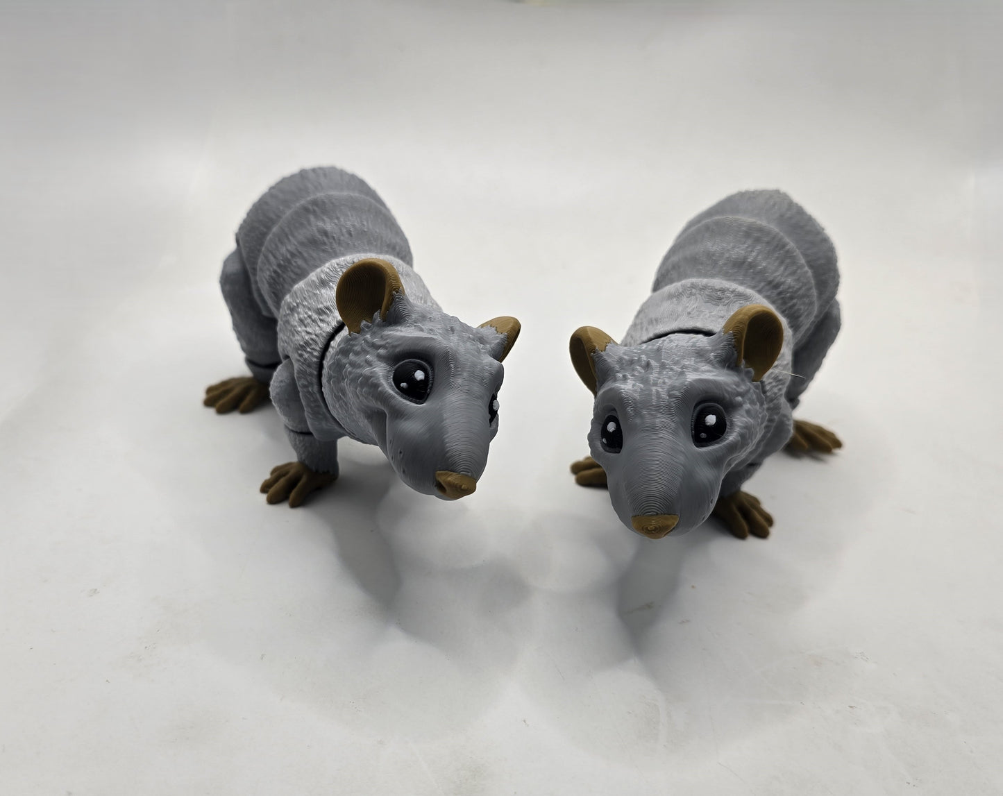 Rats