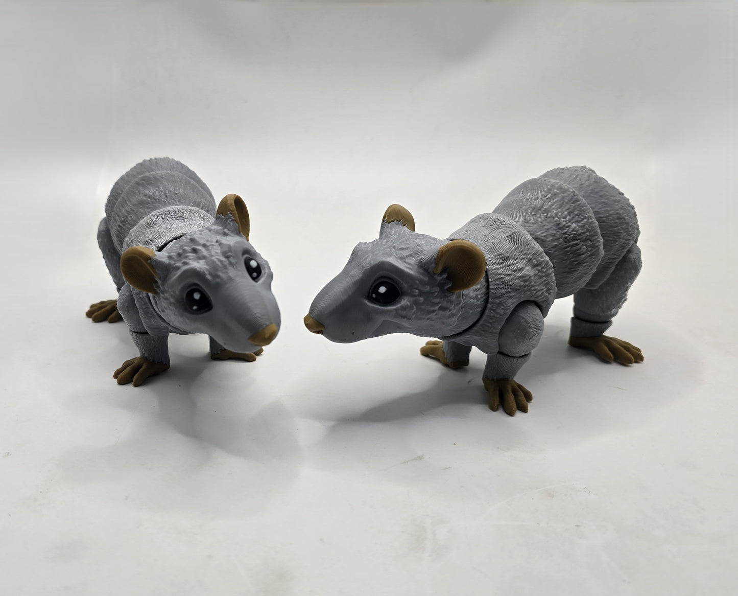 Rats
