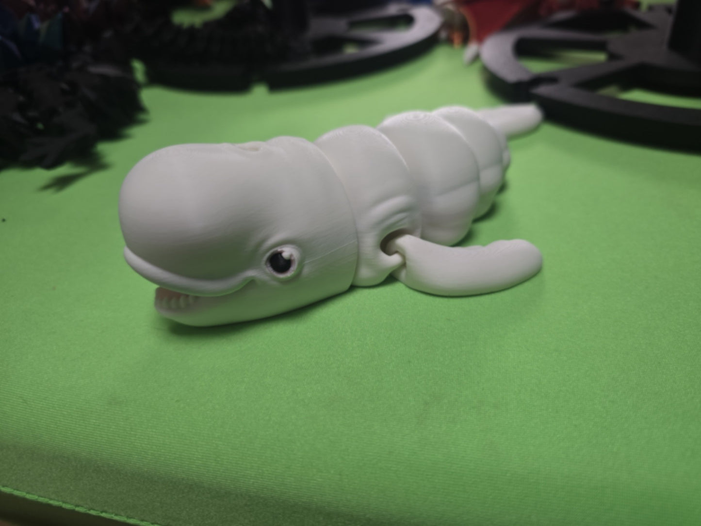 Beluga Whale