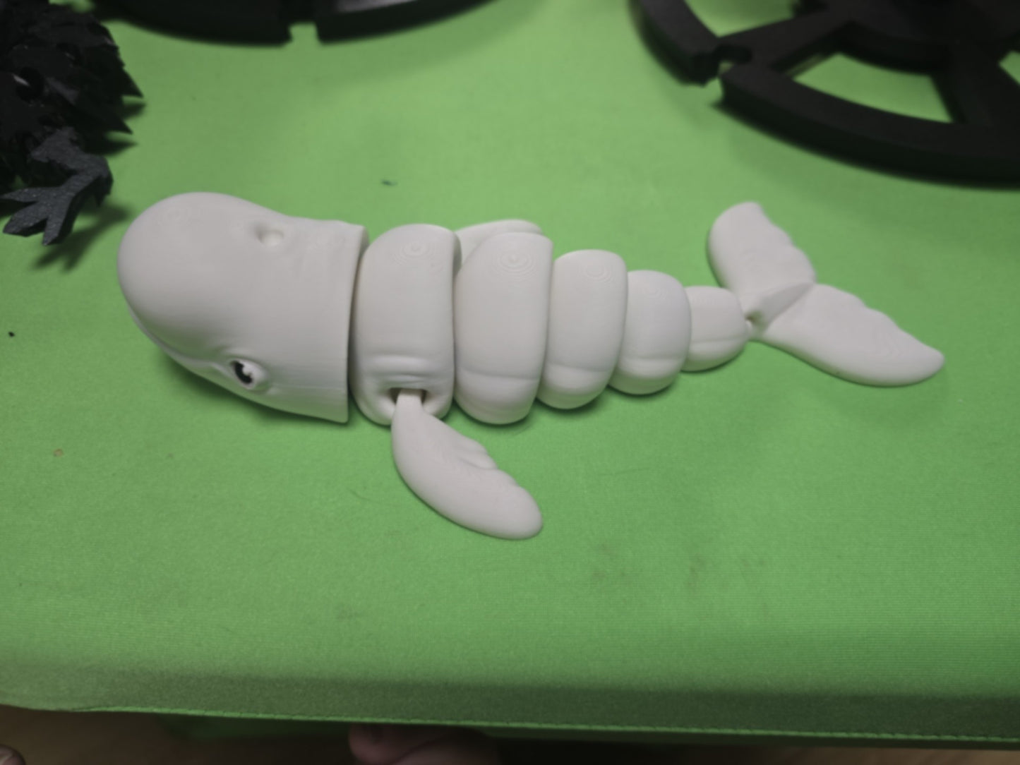 Beluga Whale
