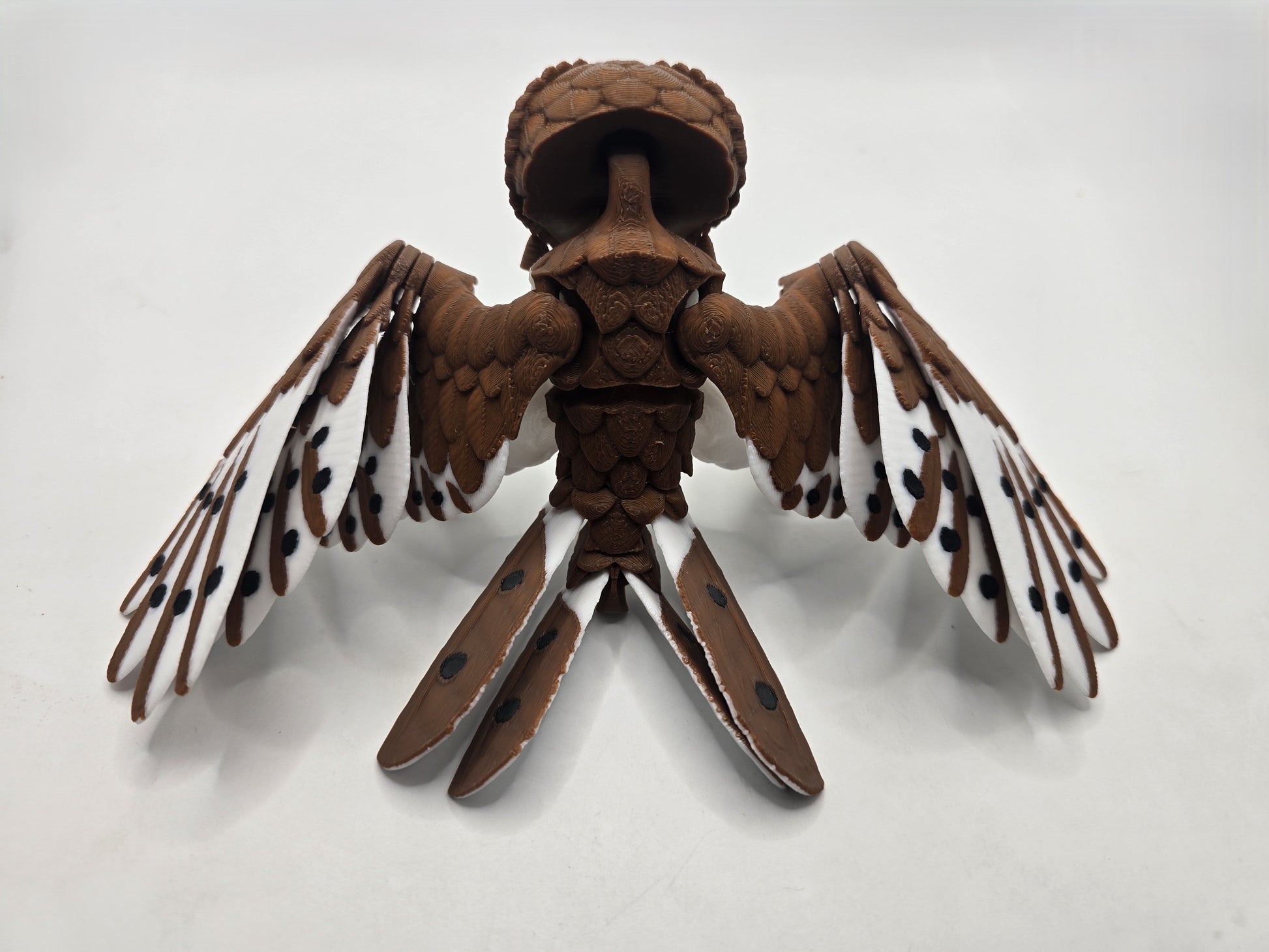Barn Owl - No Hands 3d