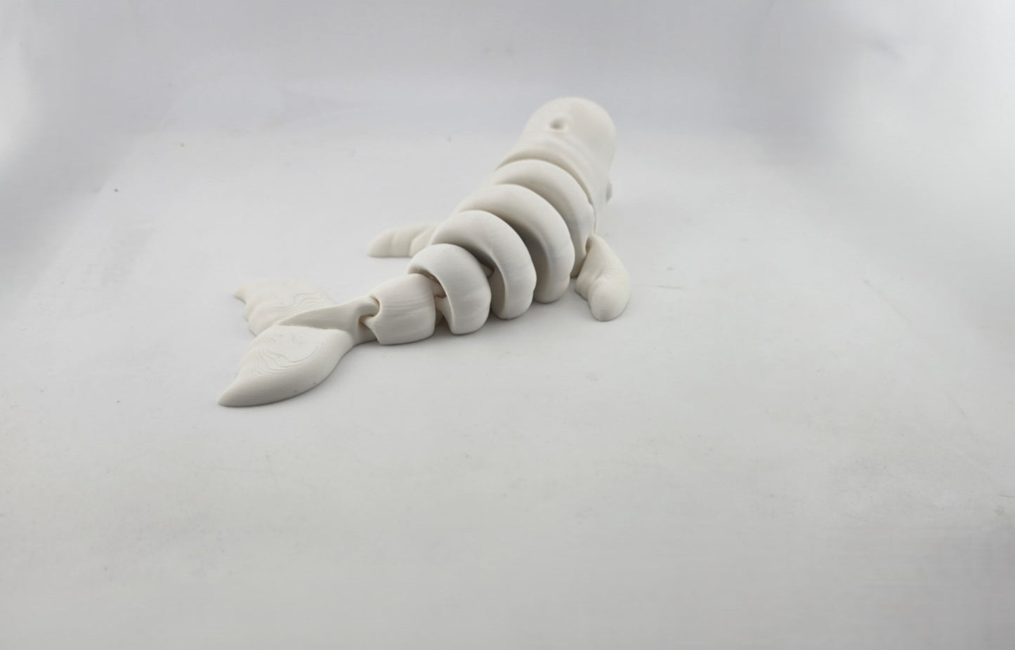 Beluga Whale - No Hands 3d