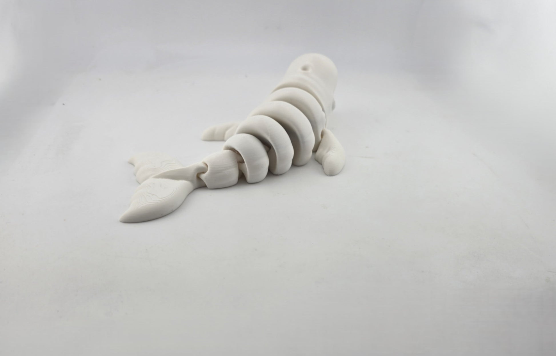 Beluga Whale - No Hands 3d