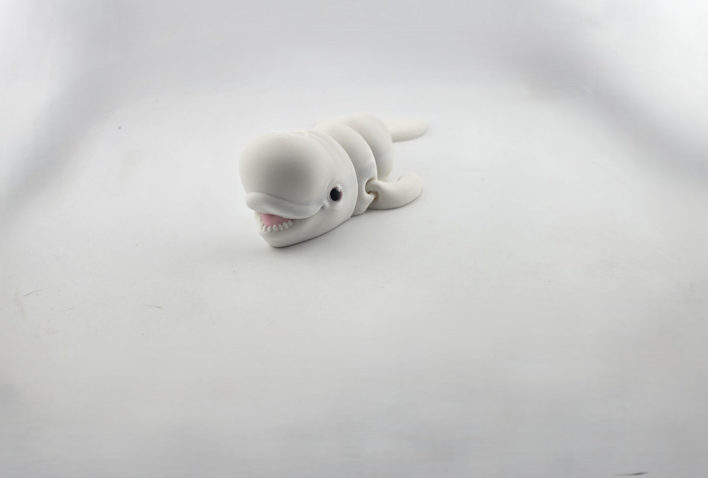 Beluga Whale - No Hands 3d