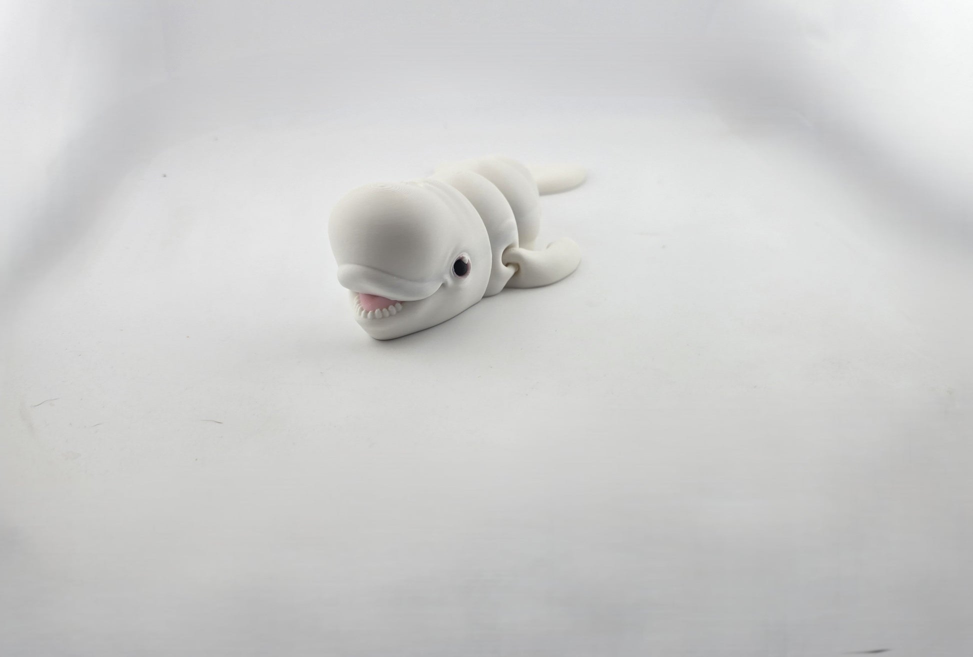 Beluga Whale - No Hands 3d